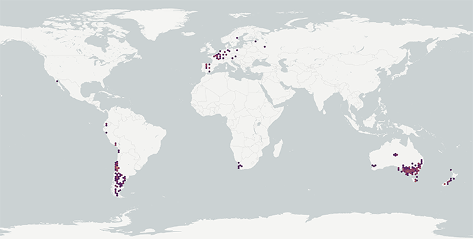 Amsinckia calycina distribution map full distribution GBIF