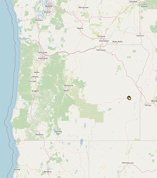 Amsinckia_carinata-SEINet map