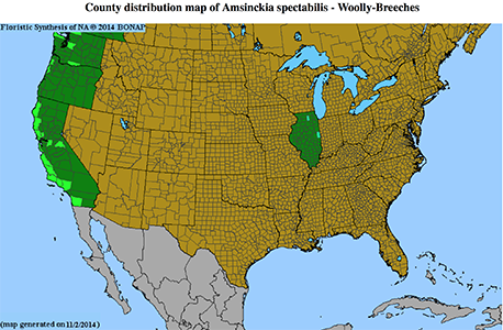 Amsinckia spectabilis distribution map