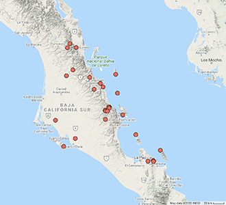 Johnstonella_echinosepala-SEINet map