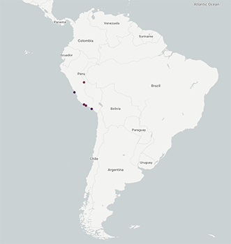 Cryptantha_granulosa-GBIF map