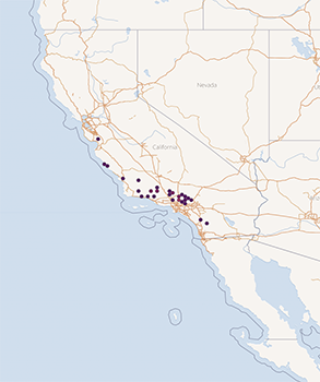 Cryptantha_muricata_v_m-GBIF map