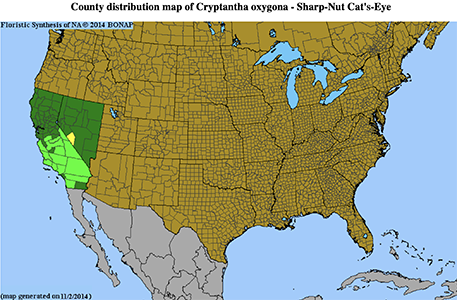 Cryptantha_oxygona-BONAP map