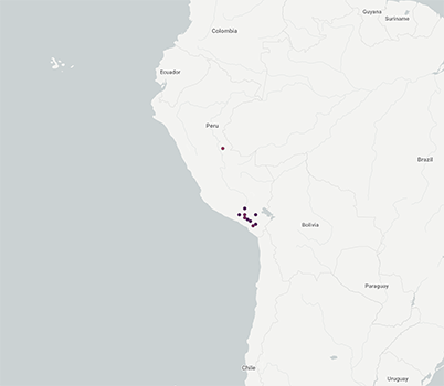 Cryptantha_peruviana-GBIF map