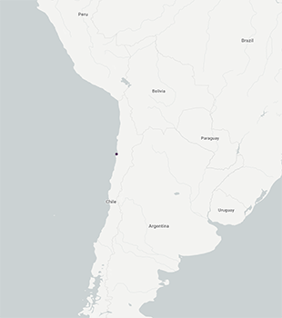 Cryptantha_taltalensis-GBIF map