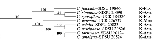 Mabry_Simpson2018-Fig6-p64-Astral cladogram