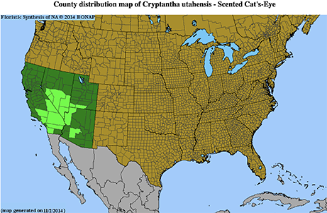 Cryptantha_utahensis-BONAP map