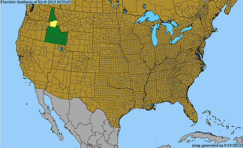 Dasynotus daubenmerei distribution map