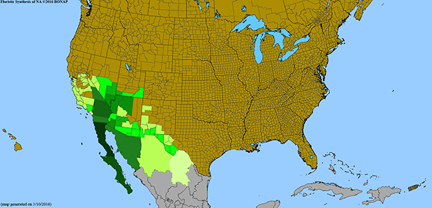 Heat map of North American Johstonella