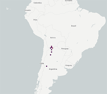 Johnstonella albida South American Distribution GBIF