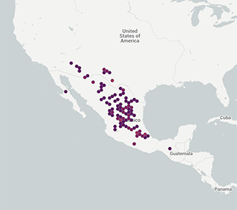 Johnstonella albida North American Distribution GBIF