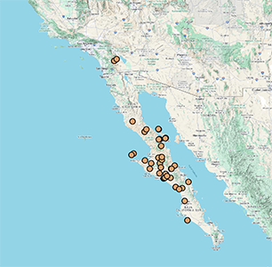 Distribution map of Johnstonella angelica, from CCH2.org