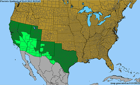 Distribution map of Johnstonella angustifolia-BONAP