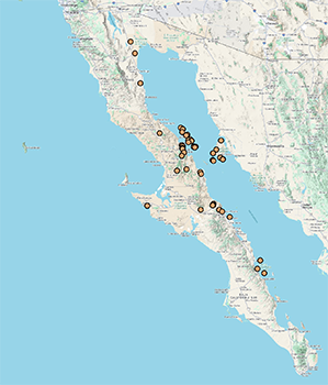 CCH2 map