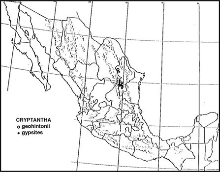 Johnstonella geohintonii distribution from Turner, B. L. 2008