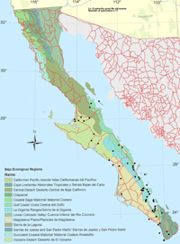 baja flora distribution map