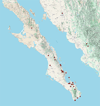Johnstonella_grayi_v_cryptochaeta-CCH2 map
