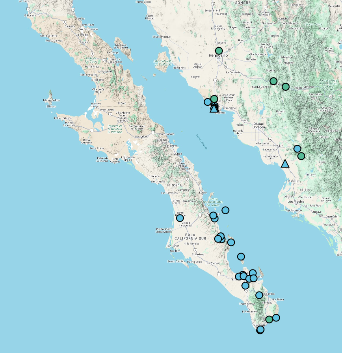 Johnstonella_grayi_v_cryptochaeta-SEINet map