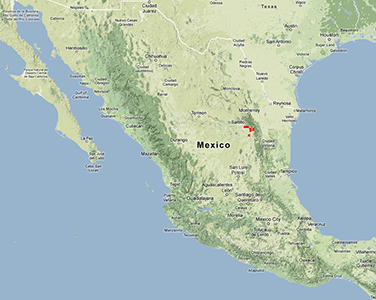 Johnstonella gypsites Distribution map: EOL