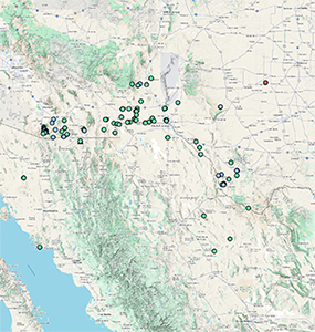 Johnstonella pusilla SEINet map