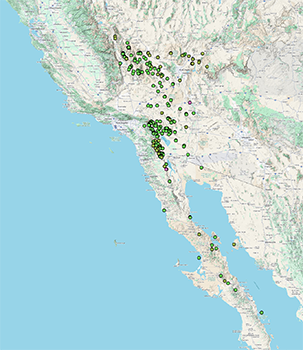 CCH2 map
