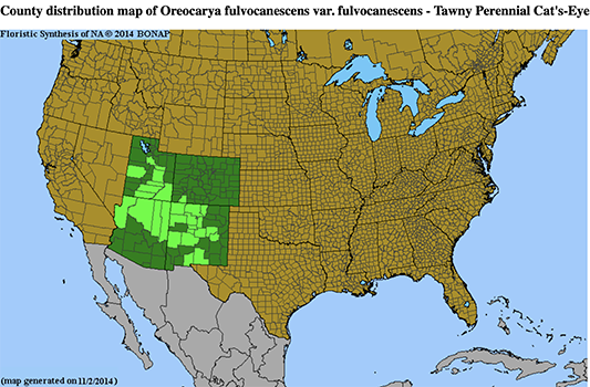 Oreocarya fulvocanescens var. fulvocanescens distribution map BONAP