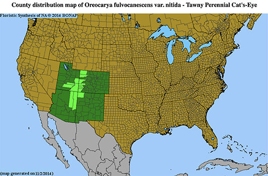 Oreocarya fulvocanescens var. nitida Distribution map BONAP