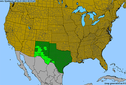 Oreocarya oblata BONAP distribution map.