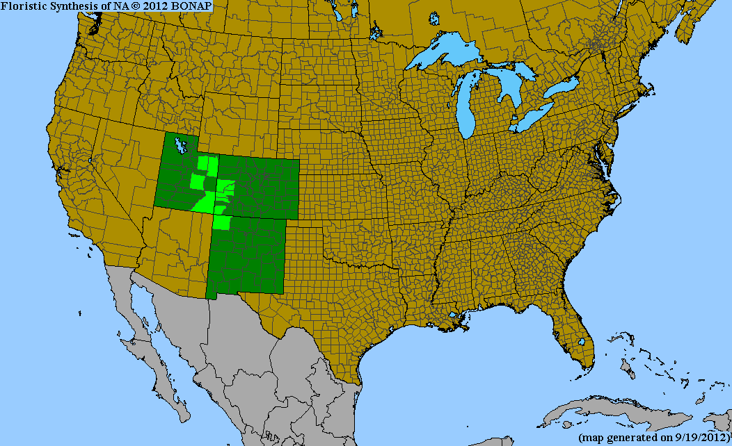 Distribution map of Oreocarya paradoxa BONAP