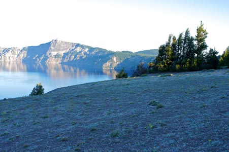 Field image of SDSU 20107 habitat