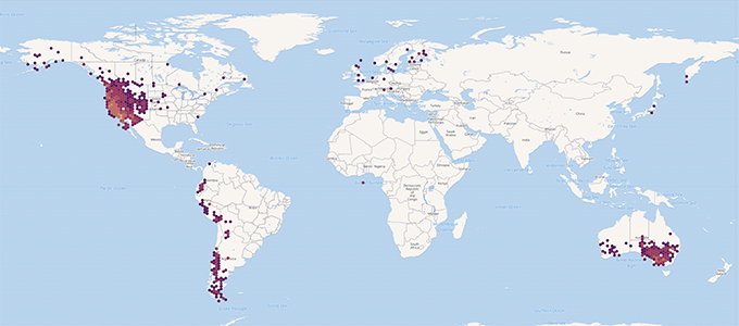 Plagiobothrys distribution, from GBIF