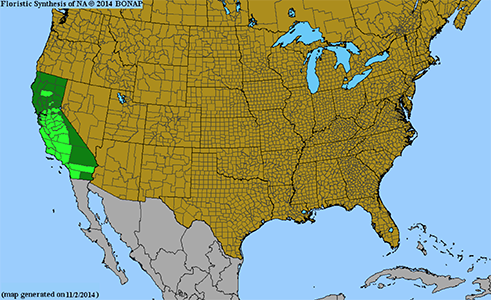 Distribution of Plagiobothrys acanthocarpus BONAP