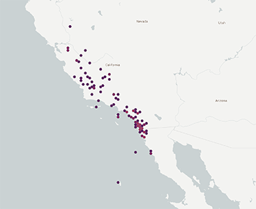 Distribution of Plagiobothrys acanthocarpus GBIF2