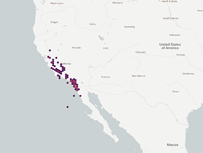 Distribution of Plagiobothrys acanthocarpus GBIF1