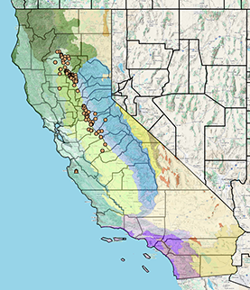 CCH2 map
