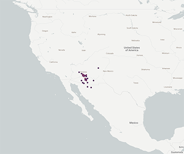 Plabiobothrys_pringlei-GBIF map