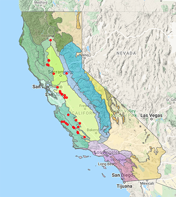 Plagiobothrys infectivus distribution map