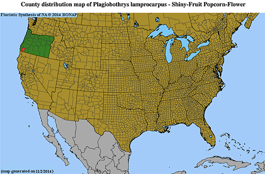 Plagiobothrys_lamprocarpus-BONAP map