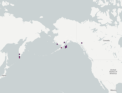 GBIF-Plagiobothrys_orientalis distribution.