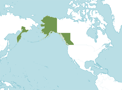 POWO-Plagiobothrys_orientalis distribution