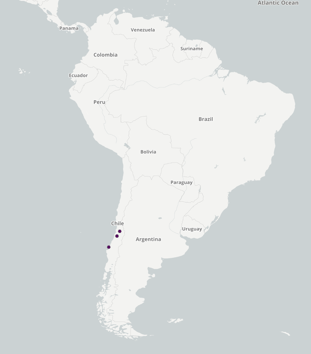 Plabiobothrys_polycaulis-GBIF map