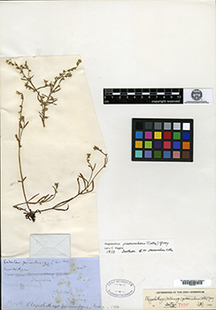 GH00097248.jpg specimen image