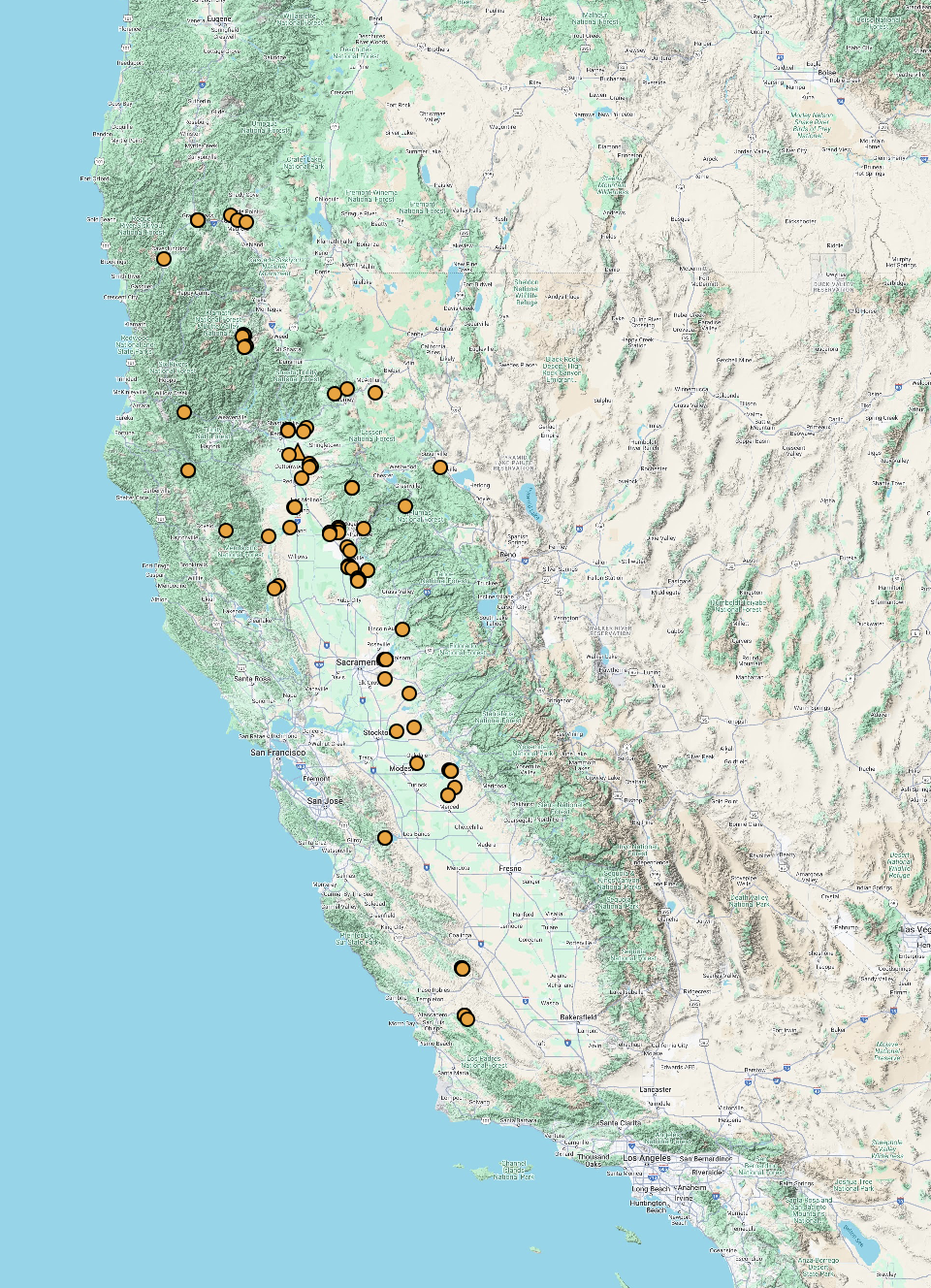 Plagiobothrys shastensis CCH2 map