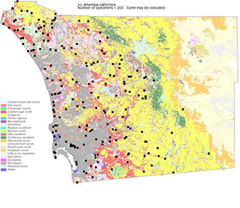 Artemisia_californica-SDPA map