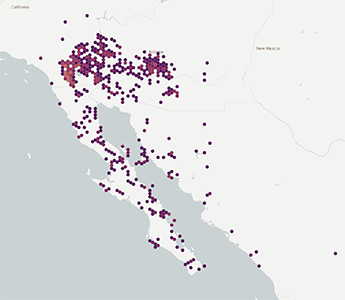 Condea emoryi map: GBIF