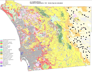 Condea emoryi map: SDPA
