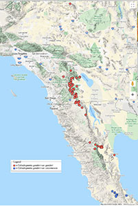 Cylindropuntia ganderi map CCH2