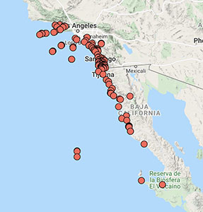 Cylindropuntia prolifera distribution map cch2