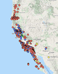 Dipterostemon capitatus distribution map cch2