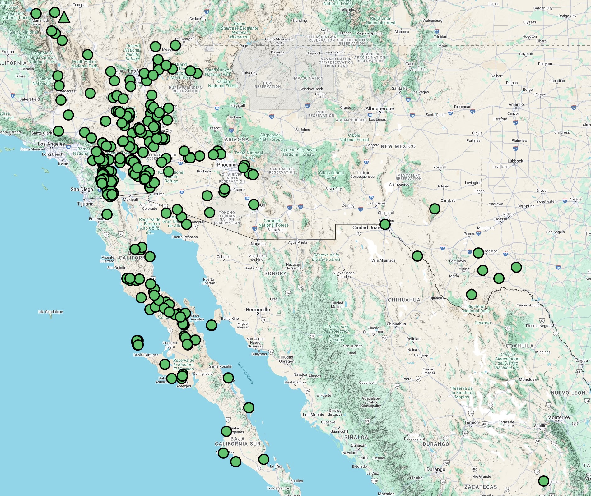 Ephedra aspera distribution map cch2